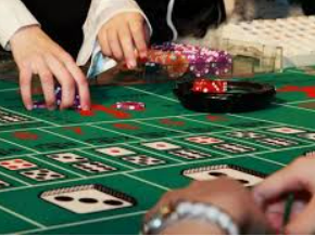 vwin德赢官网首页2024最新版